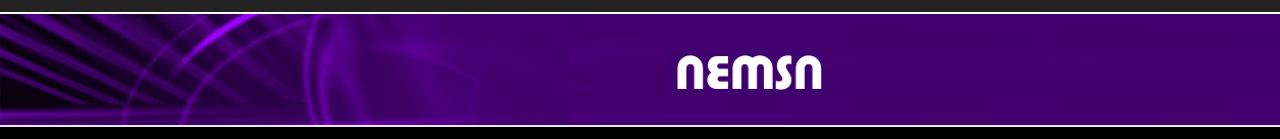 NEMSN branding